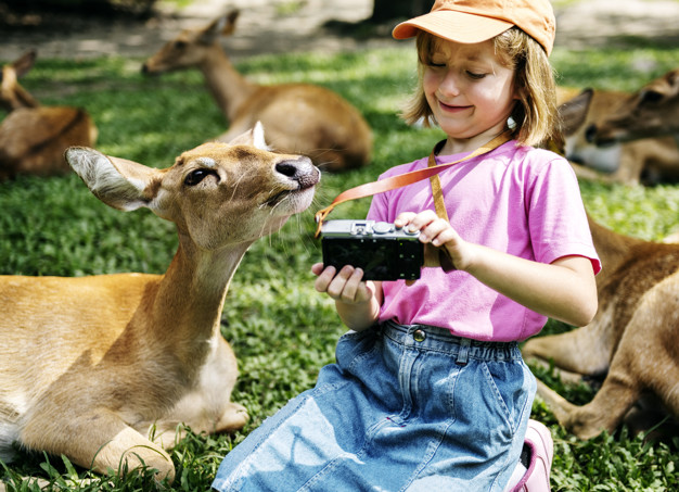 Grădina Zoo